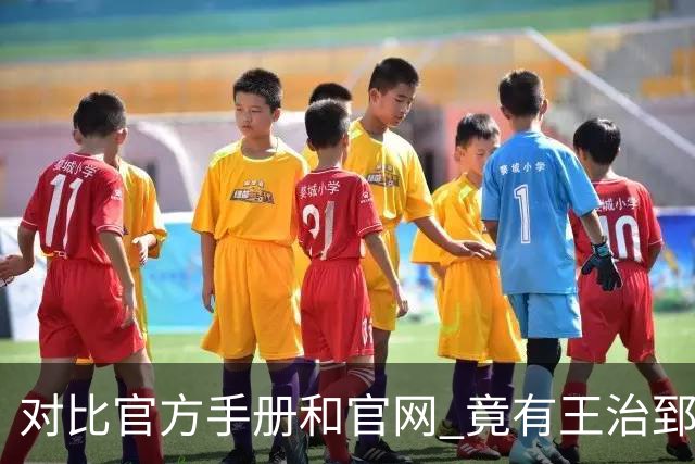 对比官方手册&官网 竟有王治郅、杜锋、杨鸣等30多名球员年龄存疑